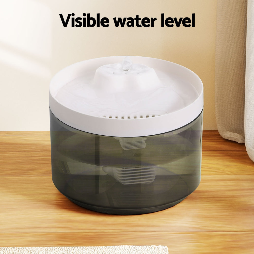 Pet Automatic Feeders
